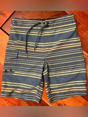 Volcom Striped Hybrid Shorts